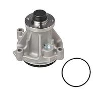 IRONTREE 252-841 Professional Water Pump Kit with Gasket for Ford F-150 F-250 F-350 E-150 E-250 E-350 E-450 Expedition Explorer Econoline Lincoln Aviator Navigator 4.6L 5.4L Engine OE Replacement