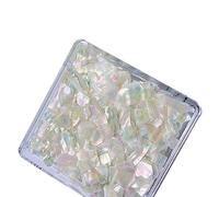 Irregular Abalone Shell Slices 6 Colors Natural Shell Nail Art Flakes 3D Colorful Manicure Decorations Art Charms Shells