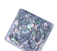 Irregular Abalone Shell Slices 6 Colors Natural Shell Nail Art Flakes 3D Colorful Nail Manicure Decorations Pieces Manicure Tools Decorations for Nails
