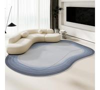 Irregular Area Rug Modern Living Room Mat Abstract Washable Carpet