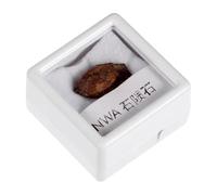 Irregular Meteorite Specimen Stone Teaching Tool for Classroom Display