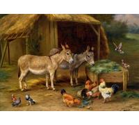 Irregular Puzzle - Farms Animal Oil Painting Posters - Family Stress Relief Educational Toys - Wall Art Decoration - 1000 Pieces Puzzle Gifts Zx589Aw