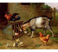 Irregular Puzzle - Farms Animal Oil Painting Posters - Family Stress Relief Educational Toys - Wall Art Decoration - 1000 Pieces Puzzle Gifts Zx592Aw