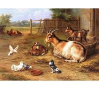 Irregular Puzzle - Farms Animal Oil Painting Posters - Family Stress Relief Educational Toys - Wall Art Decoration - 1000 Pieces Puzzle Gifts Zx593Aw