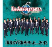 Irreversible 2012