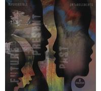 Irreversible Entanglements - Future Present Past [VINYL]