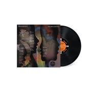 Irreversible Entanglements - Future Present Past [VINYL]