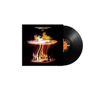 Irreversible Entanglements - Protect Your Light [VINYL]