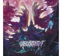 Irreversible Mechanism - Immersion