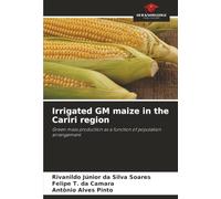 Irrigated GM maize in the Cariri region: Green mass production as a function of population arrangement