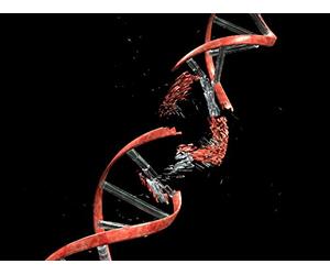 Is Aging a Disease?
