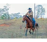 Is It A Boy or a Girl?