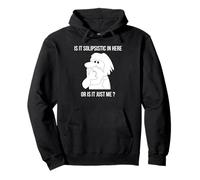Is It Solipsistic In Here, Or Is It Just Me Fun Solipsism Pullover Hoodie