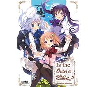 IS THE ORDER A RABBIT