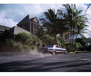 Is This Any Way to Run a Paradise?