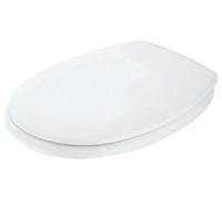 Is Toilet Seat Hinges Stainless Steel, White