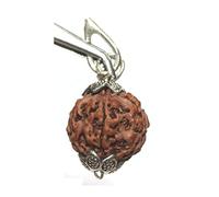 IS4A 5 Face Rudraksha Pendant/ 5 Mukhi Rudraksha Pendant, Rudraksha