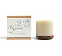 Isadora May | Midi Wax Refill | Up to 50 Hours Burn Time | Vegan Wax | Sustainable Fragrance Oil | English Garden - Ripe Pears, White Freesias, Amber & Patchouli | Fruity & Floral Scent