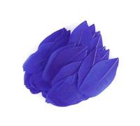 ISAKEN 50 Pieces Colorful Feathers for DIY, 5-8CM Natural Goose Feathers Decorative Natural Craft Feathers for DIY Earrings, Dream Catchers, Weddings, Carnival, Parties