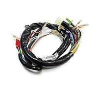 isbridge Replacement Fit For Main Wire Wiring Harness DT175 DT125 DT125MX