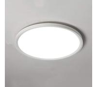 ISCBAFYX Chandelier Ceiling Lamp Flush Mount Round Circle Modern Fixture for Living Bathroom Kitchen Bedroom Balcony Warm Day Light Two-Tone Gray Color : White