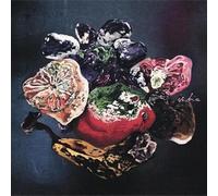 Ischia - Leave Me To The Future [VINYL]