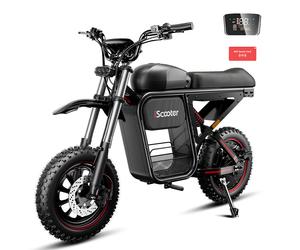 iScooter DX5Max Electric Bike