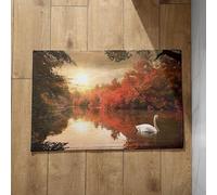 Isdreem Indoor Mats for Front Cute Floor Kitchen Sunset Lake Welcome Small Bath Non Slip Anti-Slip Lightweight Plush Cotton Decorative, 40x60cm