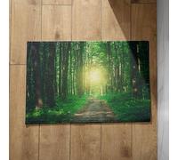 Isdreem Inside Door Mats for Home Entrance Roll Up Bathroom Woods Natural Landscape Japanese Classroom Anti-Slip Lightweight Plush Cotton Decorative, 40x60cm