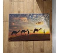 Isdreem Large Dirt Trapper Door Mats Indoor Anti Slip Bathroom Floor Camel Dusk Outdoor Entrance Funny for Non Absorbent Anti-Slip Lightweight Plush Cotton Decorative, 50x80cm