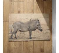 Isdreem Outside Door Mats for Front Fall Bath Bathroom Floor Porcupine Thin Indoor Entryway Kitchen Washable Cute Anti-Slip Lightweight Plush Cotton Decorative, 50x80cm