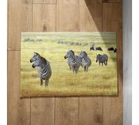 Isdreem Queen Door Mats Living Room Zebra Outdoor Entrance Funny Foot for Shower Anti-Slip Lightweight Plush Cotton Decorative, 45x75cm