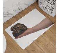 Isdreem Thin Door Mats Indoor Doormat Washable Snake for Front Small Foot Anti-Slip Lightweight Plush Cotton Decorative, 50x80cm
