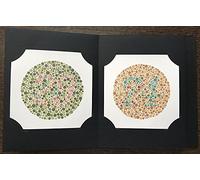 Ishihara's Tests for Colour Deficiency 14 Plates Concise Edition Latest