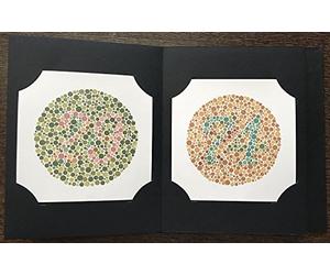 Ishihara's Tests for Colour Deficiency 14 Plates Concise Edition Latest