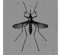 Isis - Mosquito Control (Reissue) [VINYL]