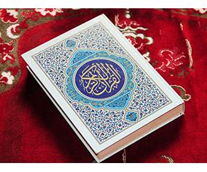 Islam Comes to India