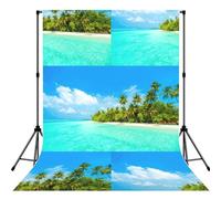 Island with Sandy Beach and Palm Tree Printed Photo Background, Seamless Matte Fabric for Shoots, Professional Studio Wall Banner