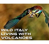 Islands of Wind and Fire