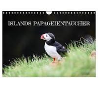 Islands Papageientaucher (Wandkalender 2026 DIN A4 quer), CALVENDO Monatskalender: Erlebe die charismatischen Puffins Islands.