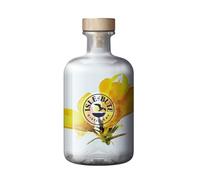 Isle of Bute Gorse Gin