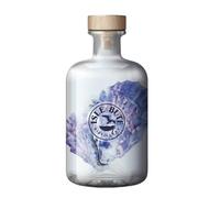 Isle of Bute Oyster Gin - World's First Oyster Infused Scottish Gin - Citrus Flavoured with Savoury Essence for Seafood Pairing - ABV 43% - 70cl