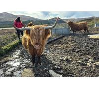 Isle of Skye - Portree Shore Excursions for Cruise Ships