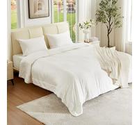 ISLEEPSILK Silk Comforter Set, Detachable Duvet Cover for Machine Wash, Summer Lightweight Cooling Blanket 100% Mulberry Silk Fill, Off White, Queen