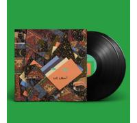 Animal Collective - Isn't It Now? [VINYL]