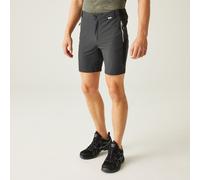 Isoflex 'Mountain II' Shorts Regatta Mid Grey 40R
