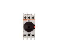 Isolated Disconnect Switch 3P 32A GA032A GA Disconnect Switch