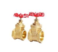 Isolation Valve G 1/2" 3/4" 1" 1-1/2" 2" Female Thread Brass Gate Valve DN15 DN20 DN25 DN32 DN40 DN50 with Steel Handwheel Full Port(DN40)