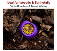 Isopod Feeder | Terrariums Enclosures Feeding Tray | Dubia Roaches Feeding Bowl - for Springtails Millipedes Tiny Pet Animals