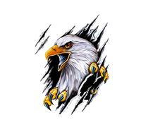 iSpchen Car Sticker 3D Eagle Sticker Cartoon Vinyl Car Sticker Car Bumper Window Personalized Decals for Motorhome, Campervan, Van 28.5 * 38cm